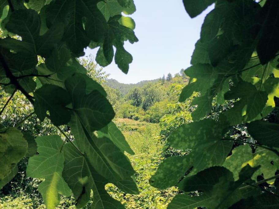 La Casirria Villa Olba Екстериор снимка